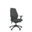 AMF - Multi-Functional Adjustable Arms +£30.00